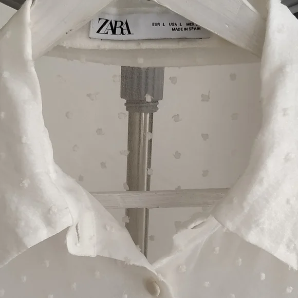 Zara Organza Puff Sleeve Blouse - Picture 5 of 10